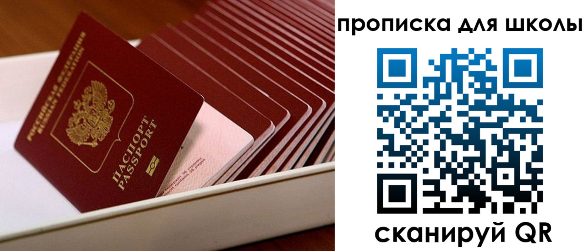 временная регистрация гарантия в Холмске